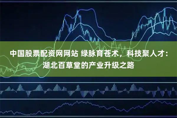 中国股票配资网网站 绿脉育苍术，科技聚人才：湖北百草堂的产业升级之路
