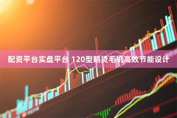 配资平台实盘平台 120型鹅烫毛机高效节能设计