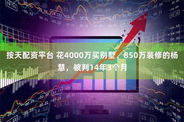 按天配资平台 花4000万买别墅、850万装修的杨慧，被判14年3个月