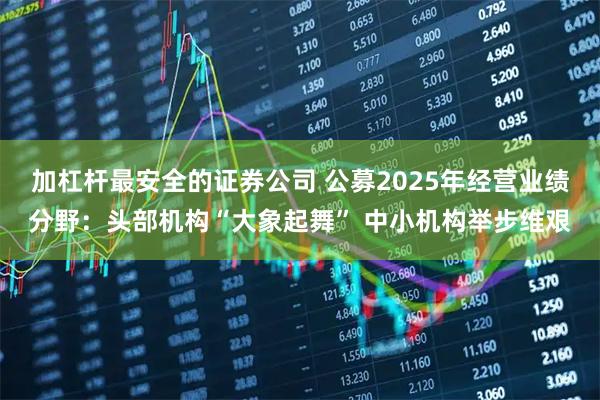 加杠杆最安全的证券公司 公募2025年经营业绩分野：头部机构“大象起舞” 中小机构举步维艰